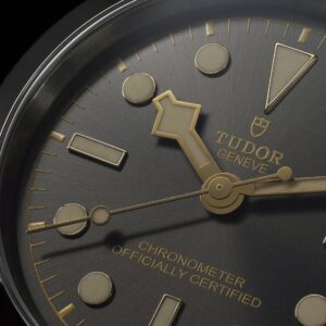 Tudor Black Bay 41