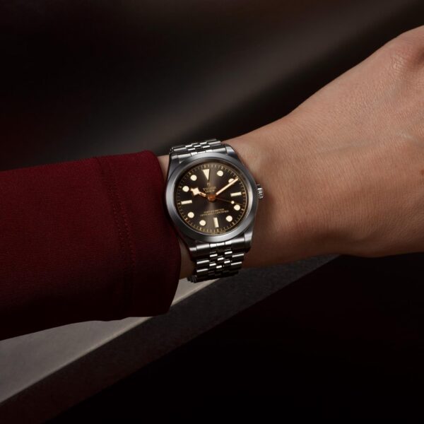 Tudor Black Bay 39