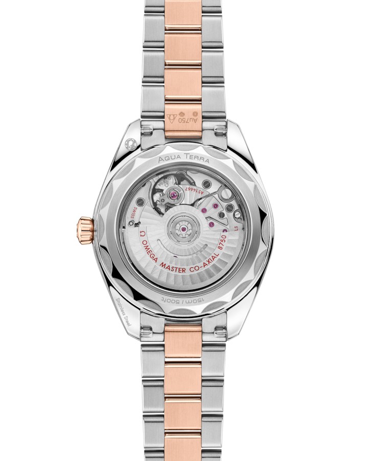 220.20.30.20.63.001 - Omega Seamaster Aqua Terra 150M OMEGA 220.20.30.20.63.001