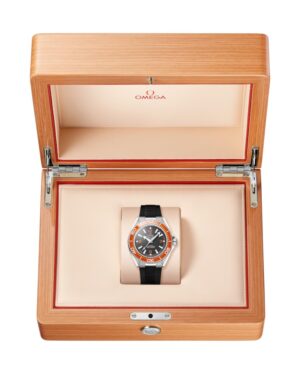 217.32.42.21.01.003 - Omega Seamaster Planet Ocean 600M OMEGA 217.32.42.21.01.003
