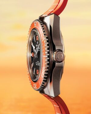 217.32.42.21.01.004 - Omega Seamaster Planet Ocean 600M OMEGA 217.32.42.21.01.004